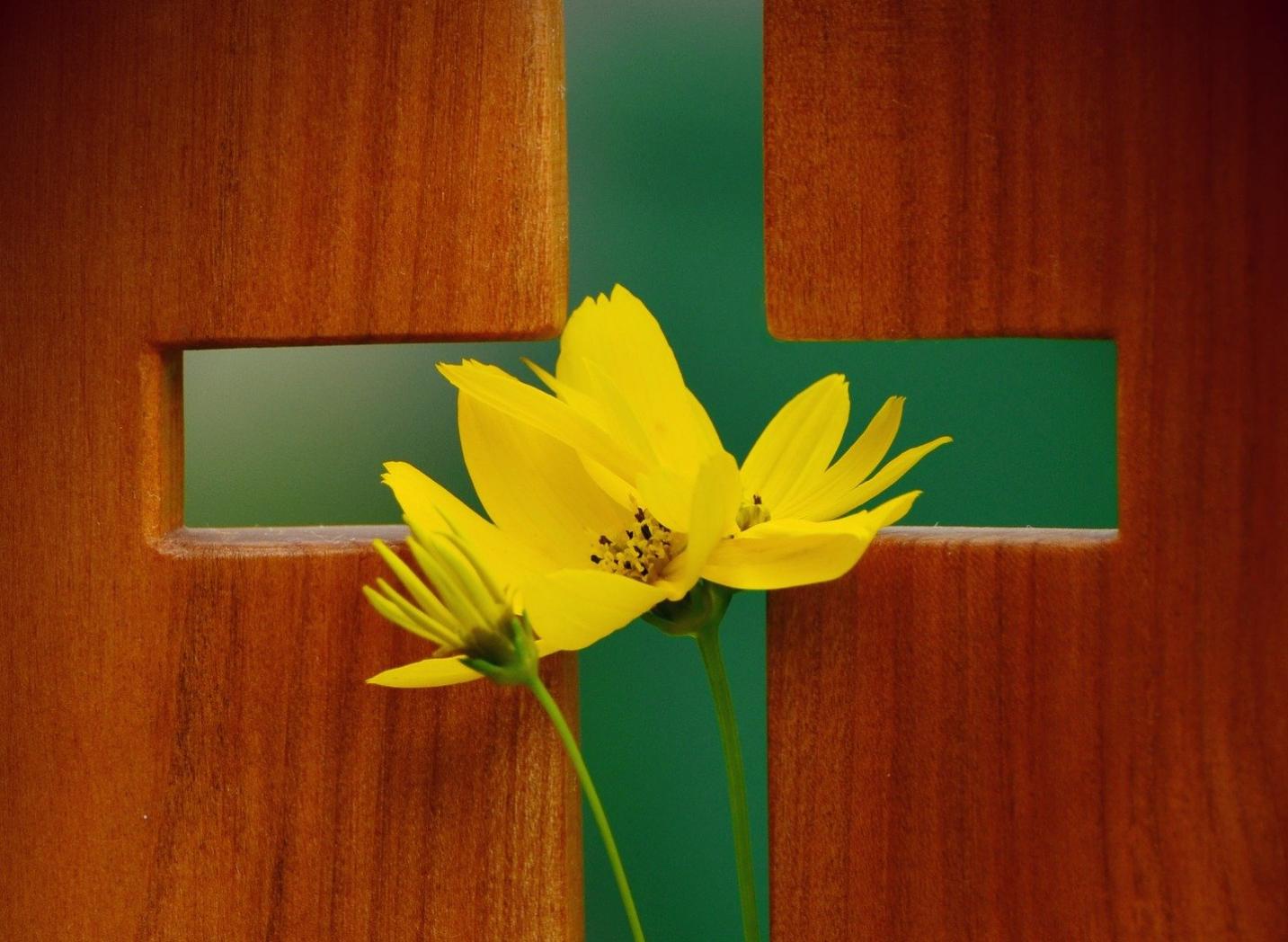 2021_04_04 flower cross-1517092_1920 (c) pixabay